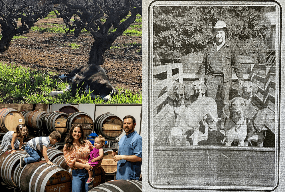 Along The Wine Road: Multigenerational Family Wineries
