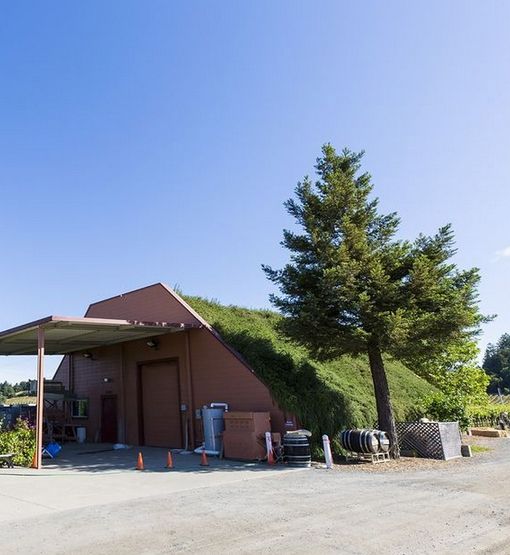 The above ground cave with the rosemary roof, the home of Nalle Winery.