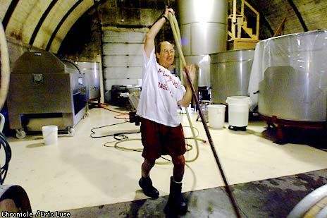 Doug Nalle walks out a hose full of wine