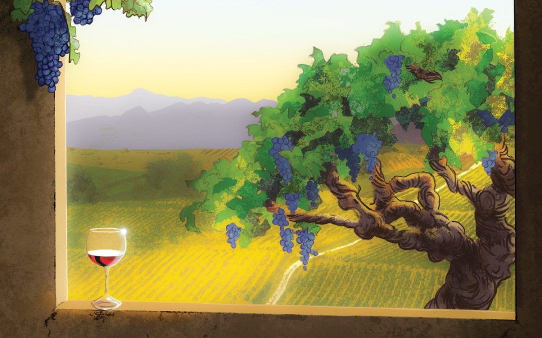 The Tangled Tale of Zinfandel